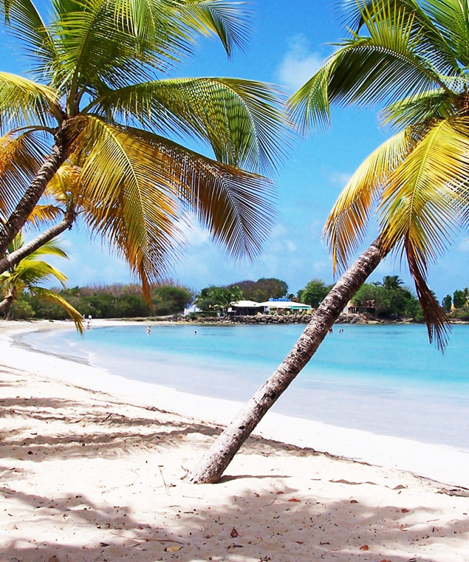 Sailndream : location de voiliers en Martinique, location de bateaux en Martinique