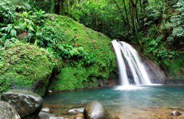 Sailndream : location de voiliers en Martinique Antilles, location de bateaux en Martinique Antilles