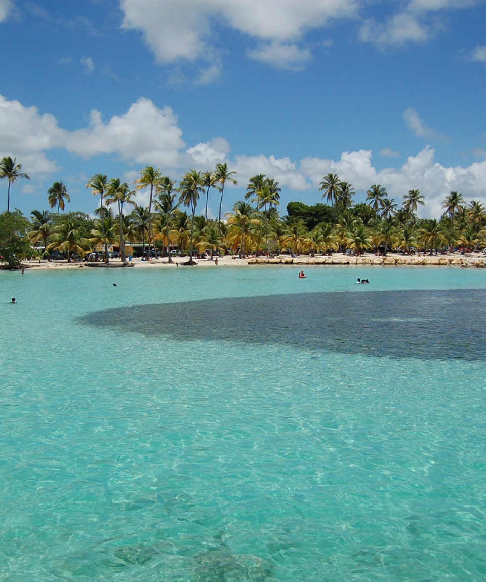 Sailndream: location de voiliers au Guadeloupe, location de bateaux au Guadeloupe