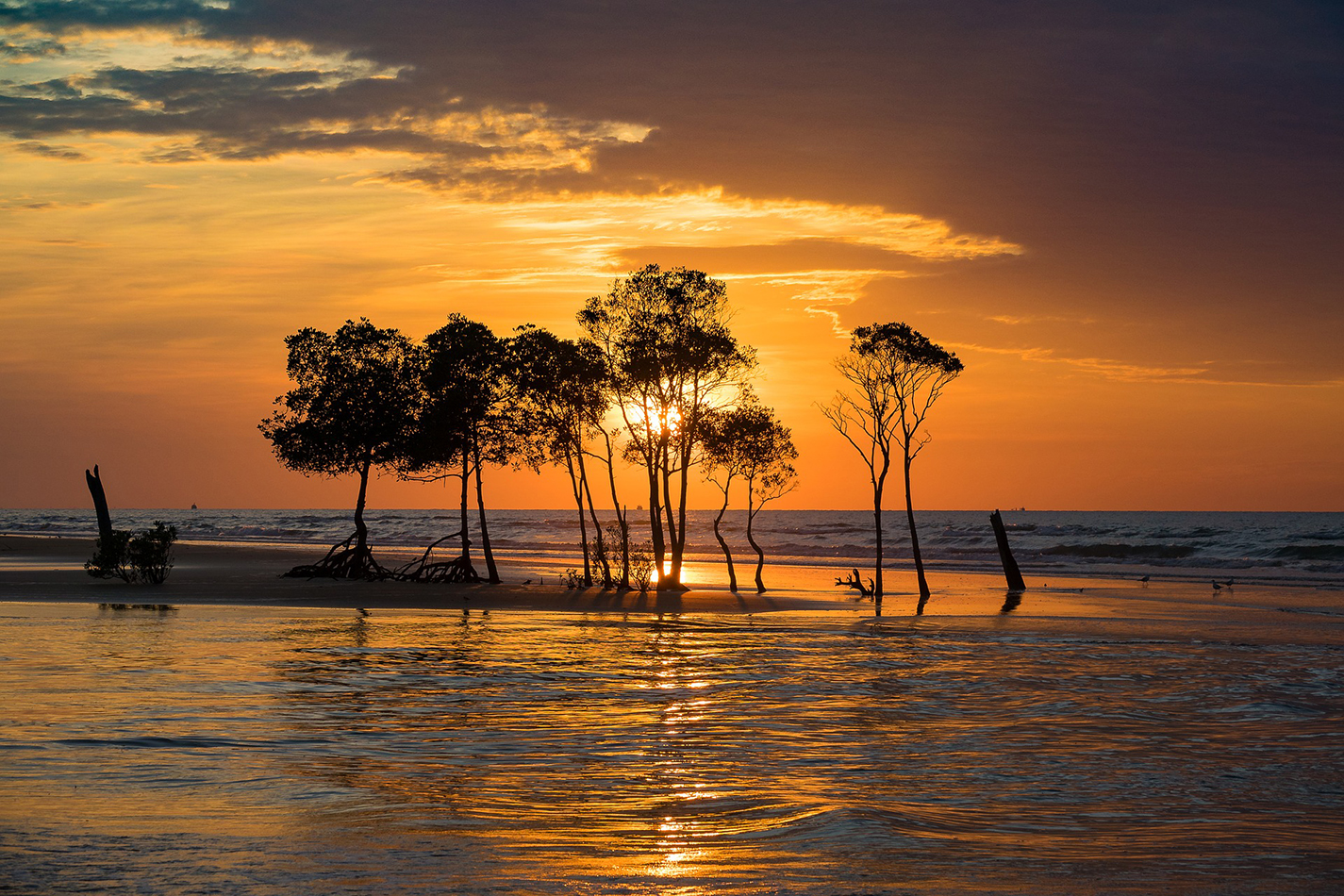 Sailndream : location de voiliers en Australie, location de bateaux en Australie